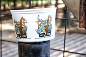 Lazy 5 Ranch Bucket