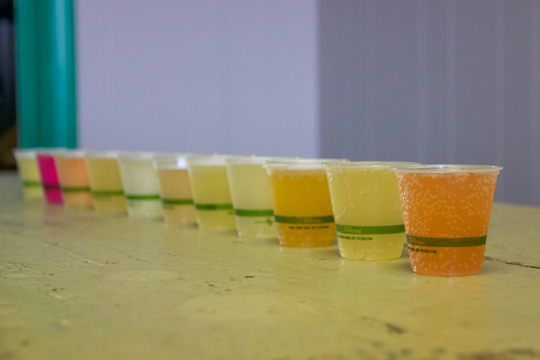 Lenny Boy Kombucha Flights