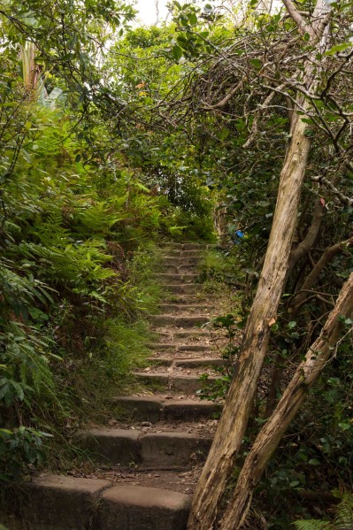 Spit to Manly Hike Stairs