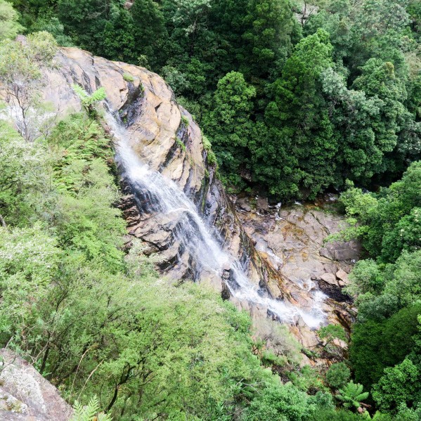 Blue Mountains Day Trip - Waterfall