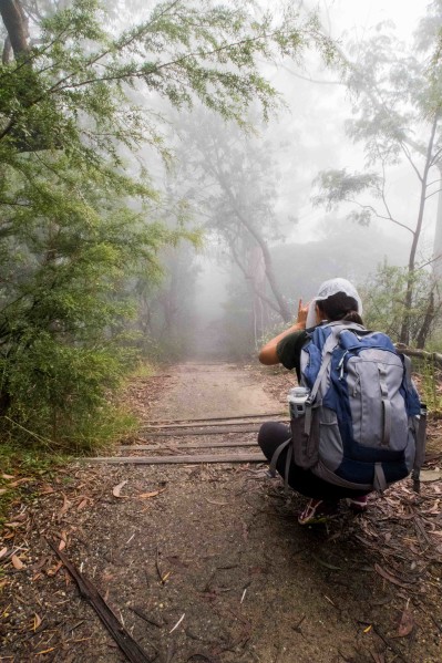 Blue Mountains Day Trip - Trail Photo