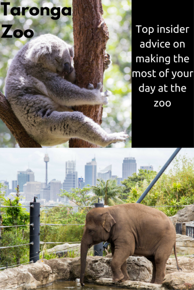 Taronga Zoo