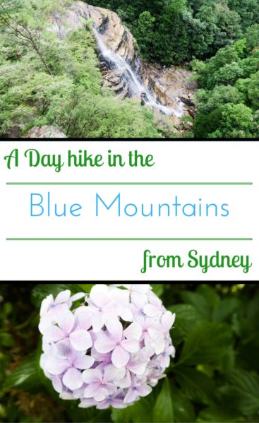 A self guided hike in Blue Mountains of Australia