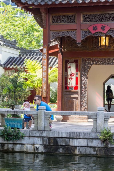 Sydney Chinatown Favorites - Chinese Friendship Garden
