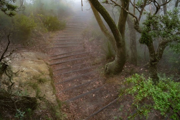 Foggy Trail Dehaze 100