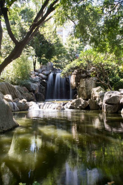 Sydney Chinatown Favorites - Chines Friendship Garden