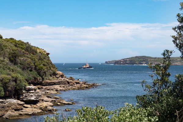 Swim in La Perouse - Botany Bay National Park - Browns Rock