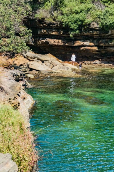 Swim in La Perouse - Botany Bay National Park - Browns Rock
