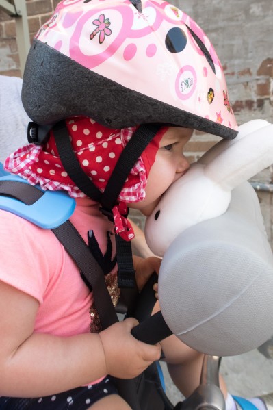 front mounted toddler bike seat