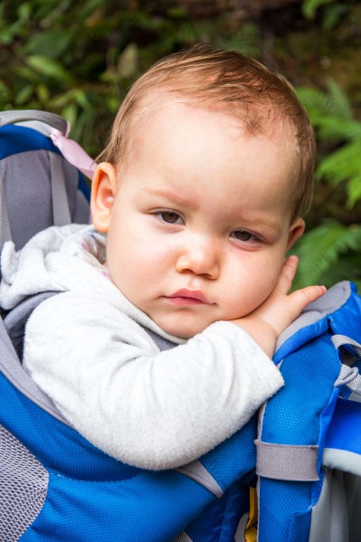 enjoyable toddler hikes - SleepyCZ