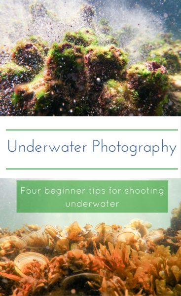Beginners guide to underwater photography - make sure you pack #1 and 3!