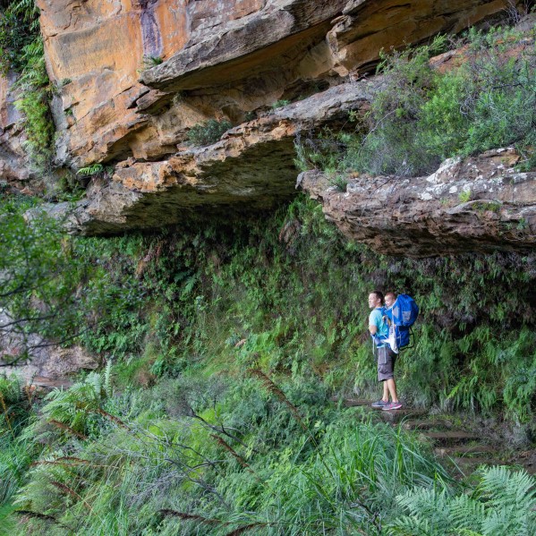 enjoyable toddler hikes - Wentworth