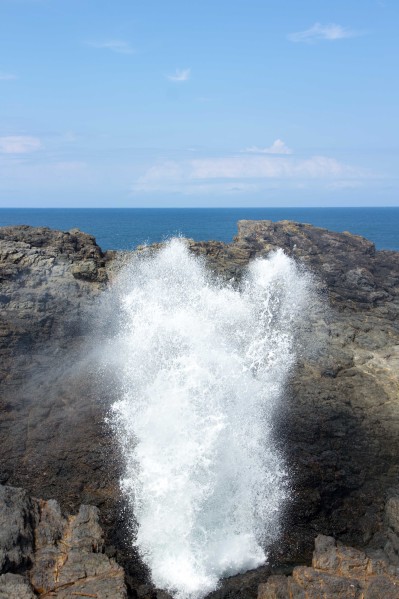 Family Day Trip to Kiama