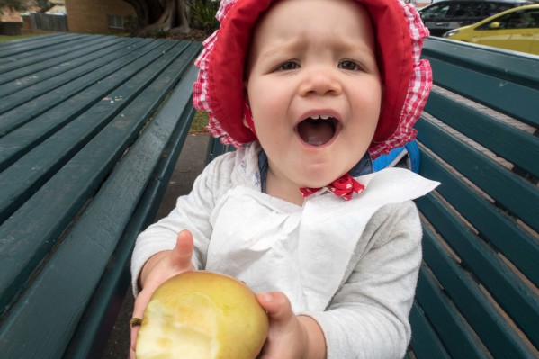 Family Day Trip to Kiama