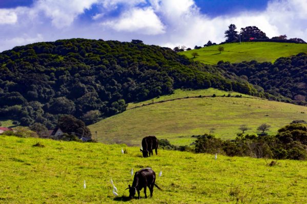 Kiama_to_Gerringong_13