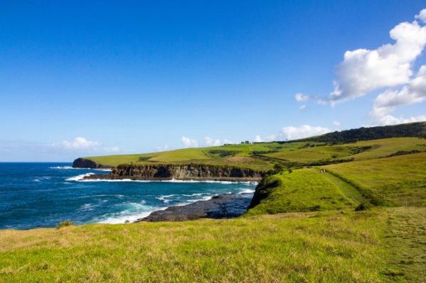 Hike From Kiama to Gerringong - Green Pastures