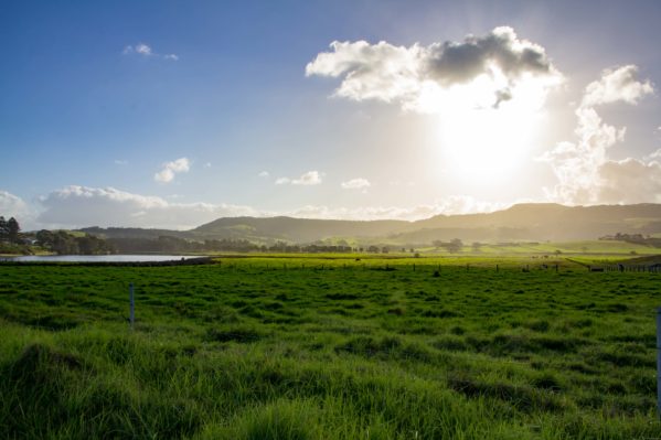 Hike from kiama to gerringong - Werri Lagoon Pastures