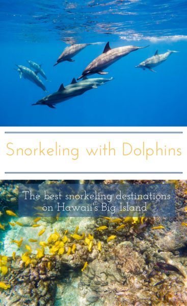 Two beautiful locations where you can snorkel with dolphins for free! Once in a lifetime vacation experience!