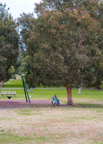 Riding with Kids in Sydney