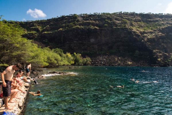 Best Places to See Dolphins on the Big Island