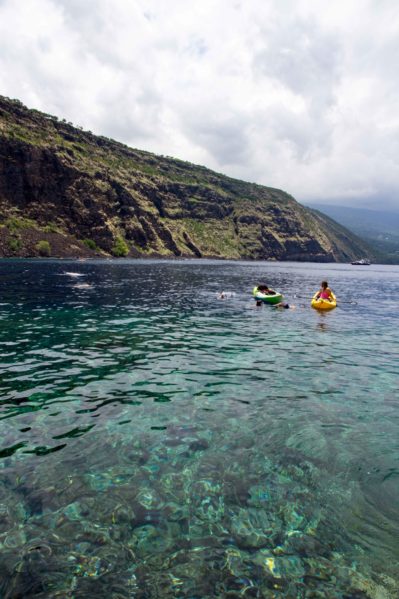 Best Places to See Dolphins on the Big Island