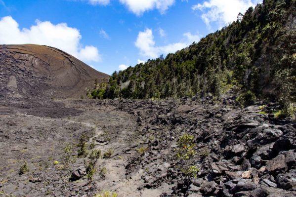 Family Hike through Volcanoes National Park - Kilauea Iki Crater Trail