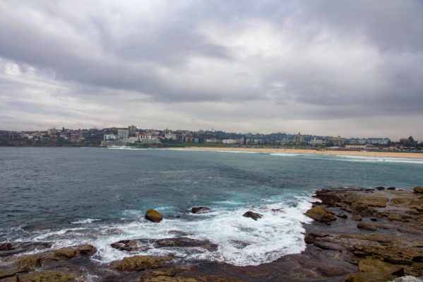 Federation Cliff Walk - Bondi