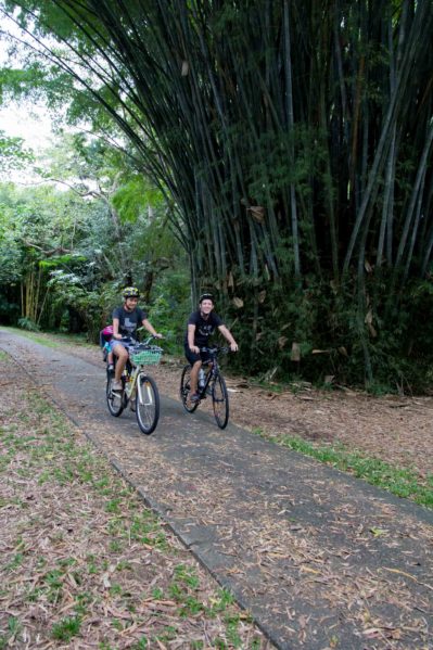 Cairns Family Bike Rental - Cairns Botanic Gardens