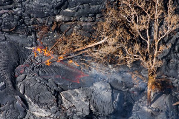 See Molten Lava on the Big Island - Fire Trees Lava Flow