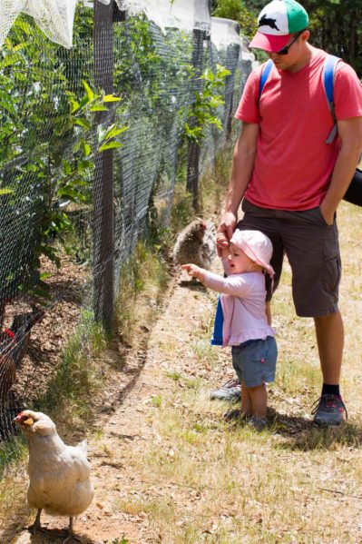 slow travel for families - farm