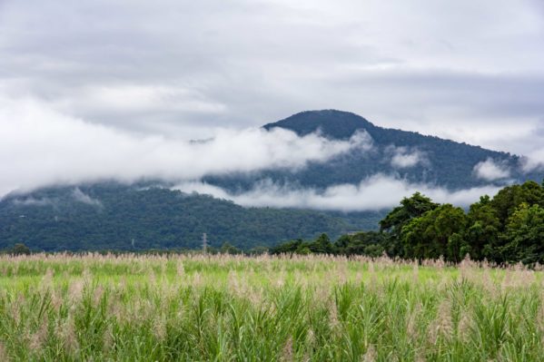 Cairns Family Bike Rental - Freshwater