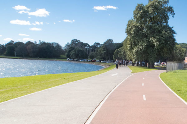 Biking Bay Run - Split Path