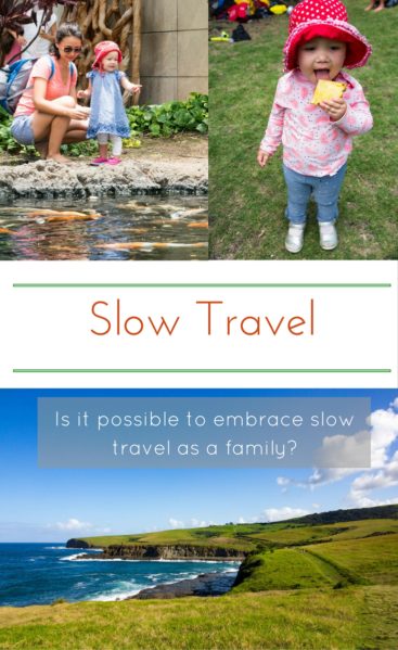 SlowTravel_pin