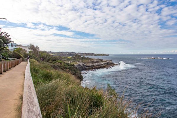 maroubra to coogee coast walk