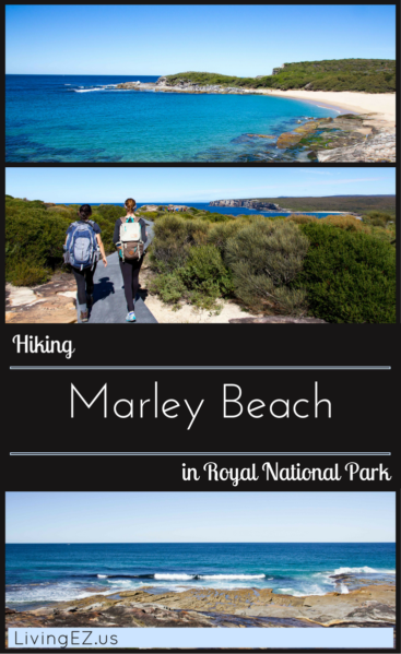 marleybeach2_pin