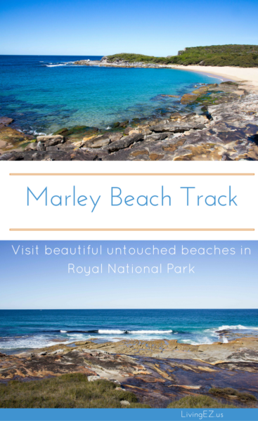 marleybeach_pin