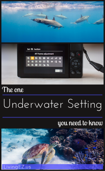 underwatersettings_pin