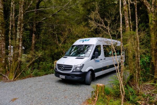 New Zealand South Island Itinerary - Milford Sound Lodge