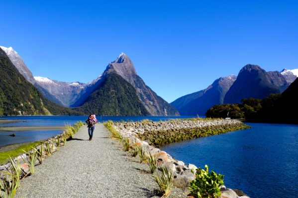 New Zealand South Island Itinerary - Milford Sound