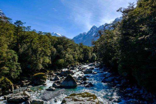 New Zealand South Island Itinerary - Suspension Bridge View