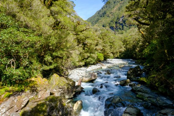 New Zealand South Island Itinerary - The Chasm