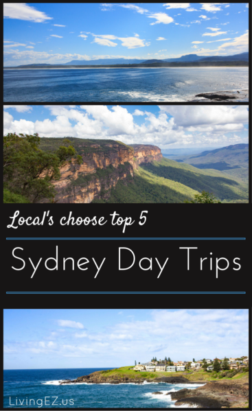 sydneydaytrip_pin