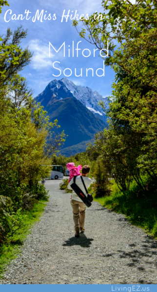 milfordsound_1