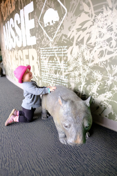 zoo_3