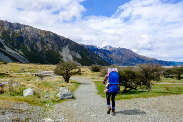 mt. cook walks - paths