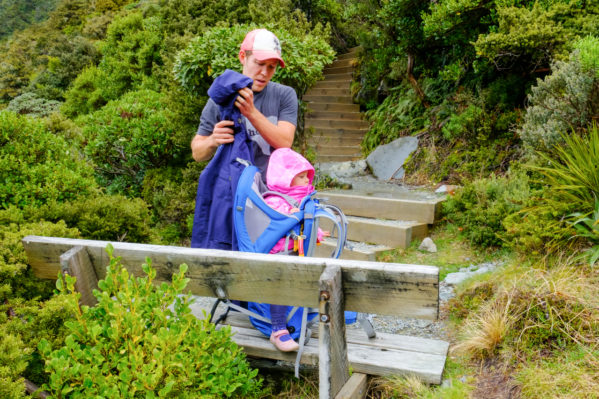 Mt Cook Walks - Seally Tarns Start