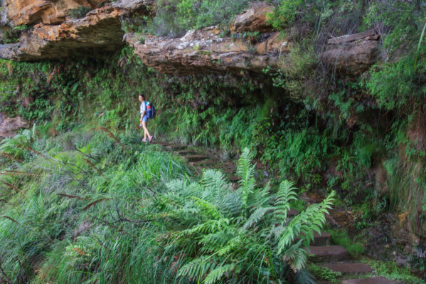 Beginner Family Photography - Hiking