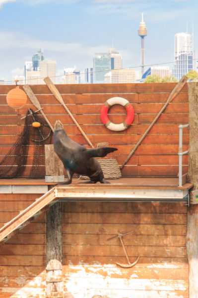 3 Days In Sydney